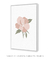 Quadro Decorativo Ramo Camelia - Larissa Ferreira Art Quadros