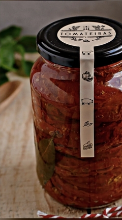 Tomate confit - Tomateiras