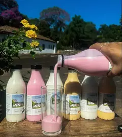 iogurte de morango - atalaia (500ml)