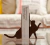 Aparador de livros Gato na internet