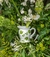 Molheira Primavera - comprar online