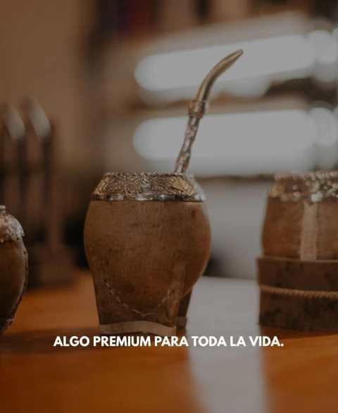 Carrusel Matematico MATES