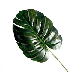 Props Hoja Tropical Costilla de Adán - comprar online