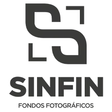 Sin Fin