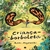 Livro Criança-Borboleta