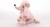 Sophie Cachorro Poddle Bege e Rosa - Zip Toys