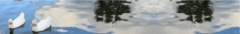 Banner de la categoría SALE