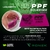 Espatula para Envelopamento e Insulfilm Pink - comprar online