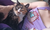Topcito Fleur miau en internet