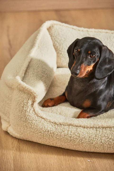 Cama para mascota Henry desdenfundable Crudo - comprar online