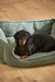 Cama para mascota Henry desenfundable Verde - tienda online