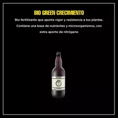 Bio Green Crecimiento 1lt - Alquimia Orgánica - comprar online