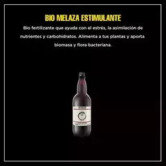 Bio Melaza 2lt- Alquimia Orgánica - comprar online
