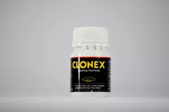 Clonex 30ml - Gel enraizante