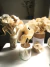 FLORES TUSOR P/ DIFUSOR DECO - comprar online