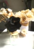 FLORES TUSOR P/ DIFUSOR DECO - tienda online