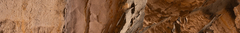 Banner de la categoría MANCHAS