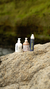 Kit Corporal para Granitos, Puntos Negros y Manchas