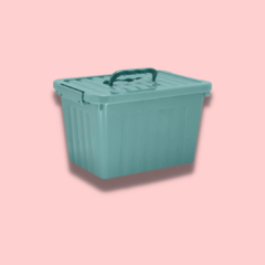 Imagen de Caja organizadora