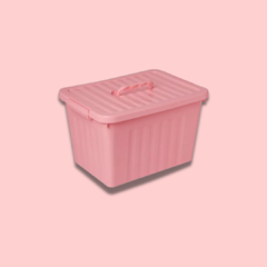 Imagen de Caja organizadora