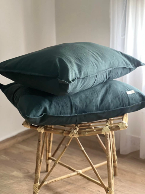 PACK X2 ALMOHADÓN BASIC 50X70 (Color a elección) - comprar online