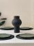 Plato Turtle Bay en internet
