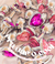 Banner de Pink Bi