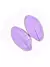 F301 MOLDE DE SILICONE FOLHA CONFEITARIA BISCUIT - buy online