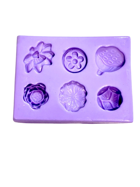 F1404 MOLDE DE SILICONE SUCULENTAS CONFEITARIA BISCUIT