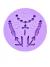 F1628 MOLDE DE SILICONE LAVANDA CONFEITARIA BISCUIT