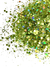 GH2-B Glitter Chunky holográfico Poliéster Importado resina unha 100gr- OLIVE