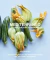 MEDITERRÁNEO: COCINA, CULTURA Y TRADICIÓN