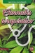 CANNABIS TERAPEUTICO