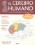 EL CEREBRO HUMANO METODO DE AUTOAPRENDIZ