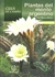 PLANTAS DEL MONTE ARGENTINO GUIA DE CAMP