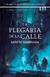LA PLEGARIA DE LA CALLE