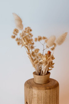 FLORERO KOREL