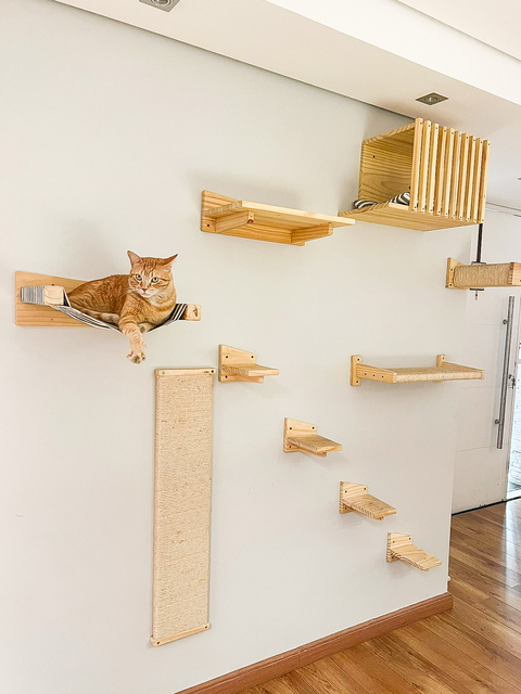 Kit para gatos Império Arranhamiau