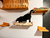 Kit para gatos Império Miaujestade - Teu Cantim | Gatificação | Enriquecimento ambiental 