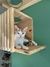 Imagem do Kit para gatos Império Everest simples