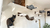 Kit para gatos Império Maisena - Teu Cantim | Gatificação | Enriquecimento ambiental 