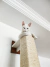 arranhador para gatos brinquedo para gatos