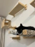 kit para gatos nas alturas gatificação nichos prateleiras redinha arranhador