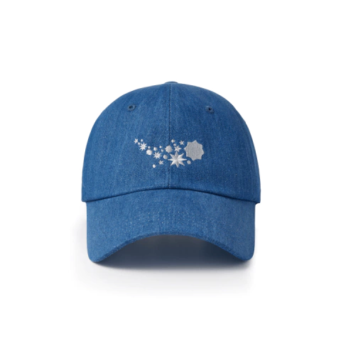 BTS FESTA Ball Cap - comprar online