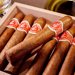 FLOR DE CANO ELEGIDOS CAJA X10 - CUBA - Estate Pipes Buenos Aires