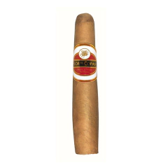 FLOR DE COPAN GORDITO TORBUSTO X1 (CELOFAN) - HONDURAS - tienda online