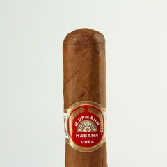 H. UPMANN REGALIAS X1 (DESNUDO) - CUBA - comprar online