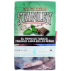 TABACO RYO STANLEY CHOCOMINT X30GR