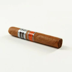 VEGAFINA NICARAGUA ROBUSTO X1 (CELOFAN) - REP. DOMINICANA
