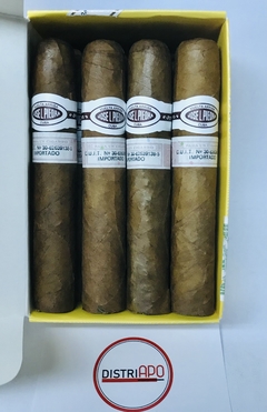 José L. Piedra Petit Caballeros x 12 Cigarros Cubanos Hechos a Mano en internet